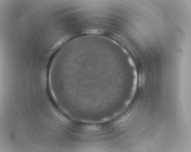 X0000115510349200911271435