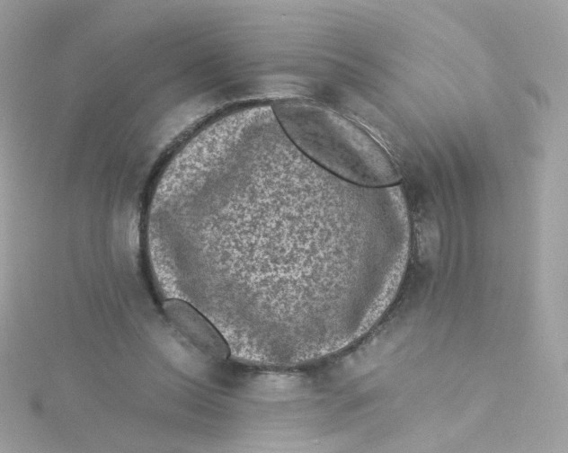 X0000115510350200911271435