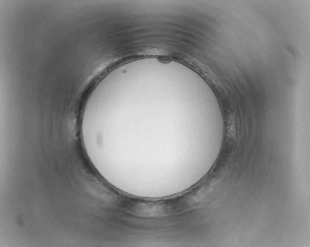 X0000115510351200911271435