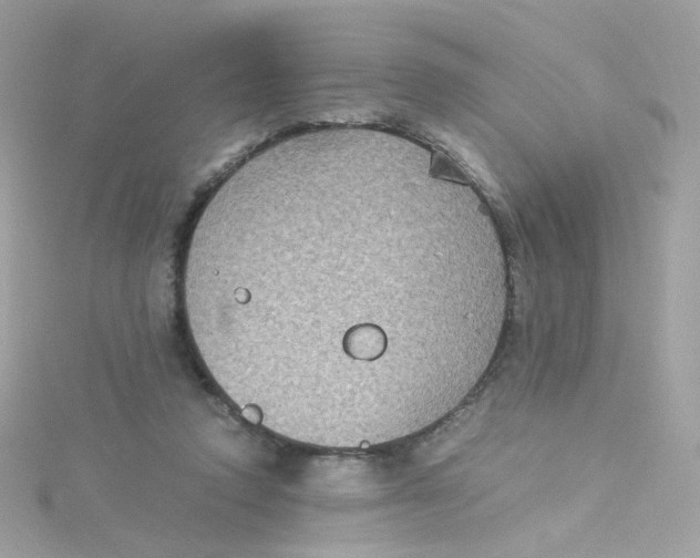 X0000115510354200911271435