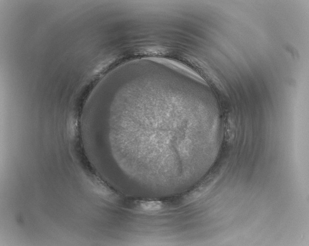 X0000115510355200911271435