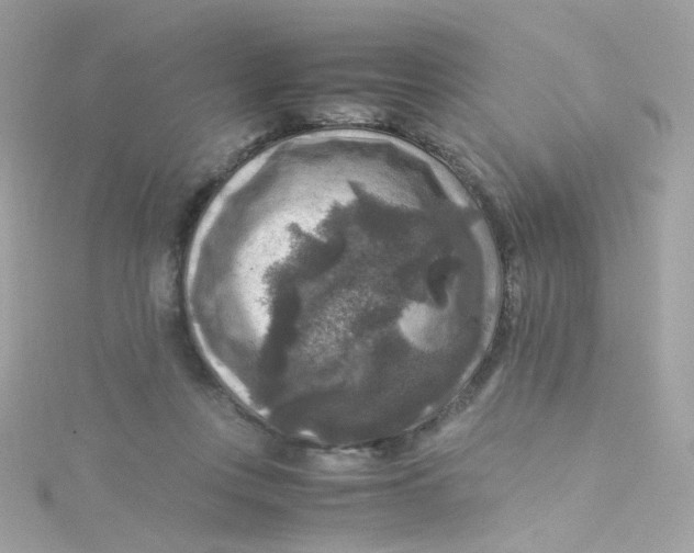 X0000115510359200911271435