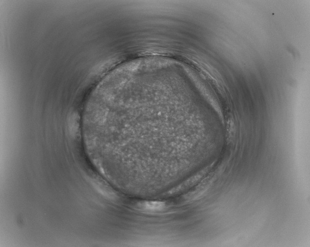 X0000115510361200911271435