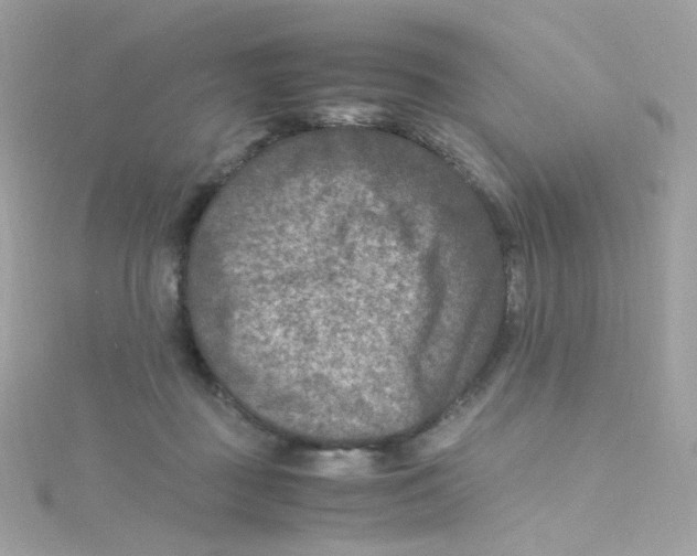 X0000115510363200911271435