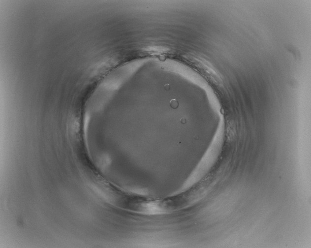 X0000115510365200911271436