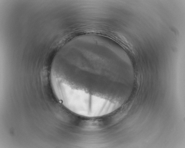 X0000115510366200911271436