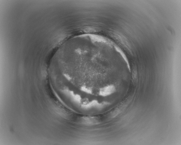 X0000115510367200911271436