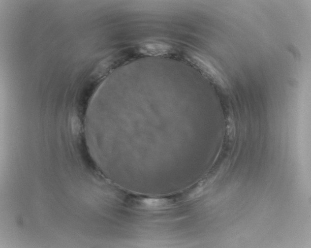 X0000115510371200911271436