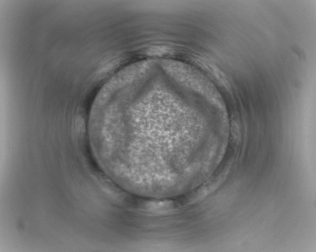 X0000115510375200911271436