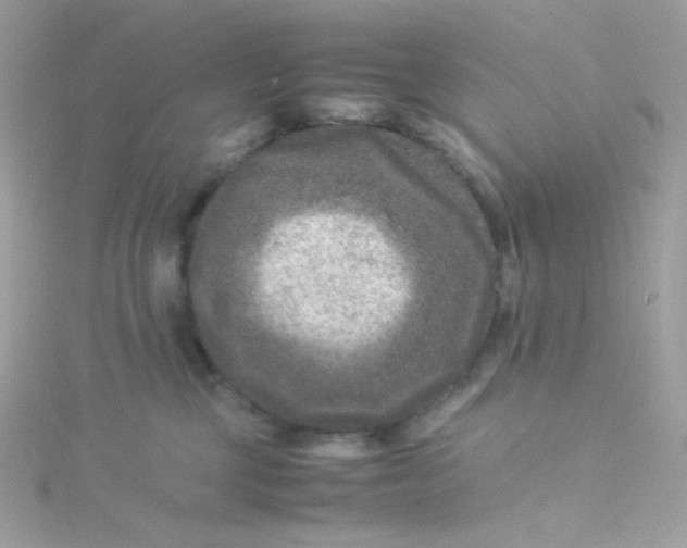 X0000115510377200911271436