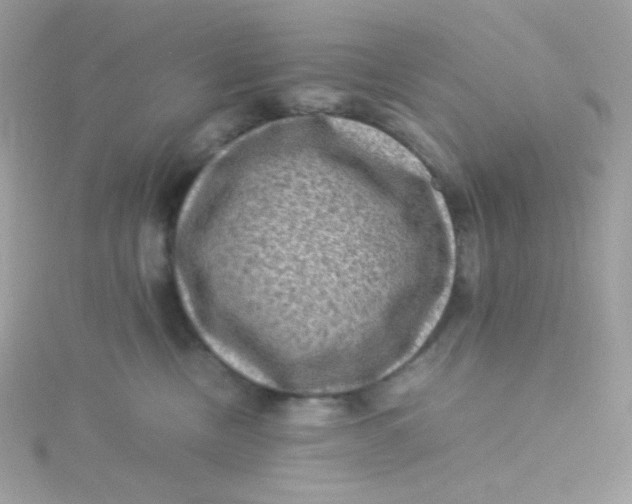 X0000115510378200911271436