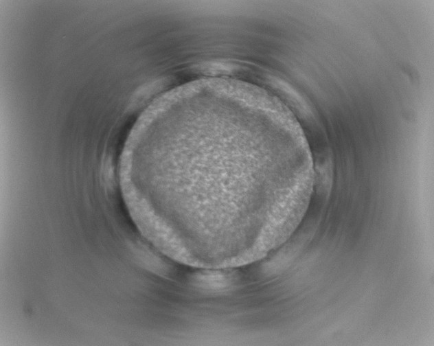 X0000115510381200911271436