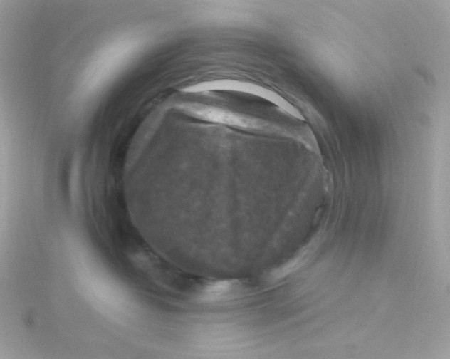 X0000115510382200911271436