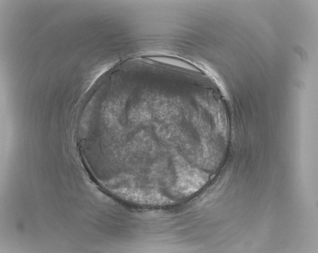 X0000115510385200911271435