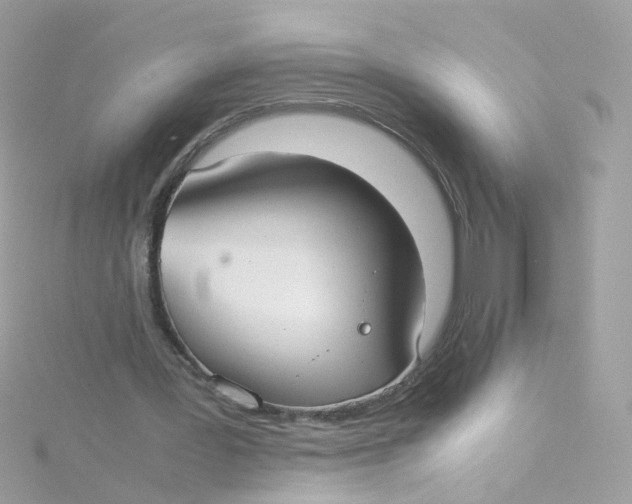 X0000115510387200911271435