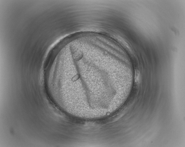 X0000115510388200911271435