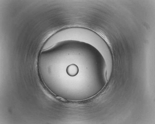 X0000115510389200911271435