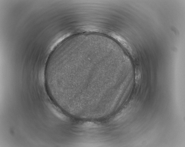 X0000115510390200911271435