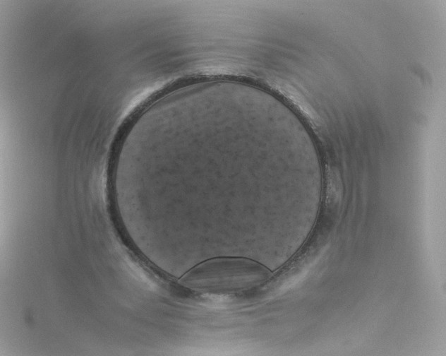 X0000115510391200911271435