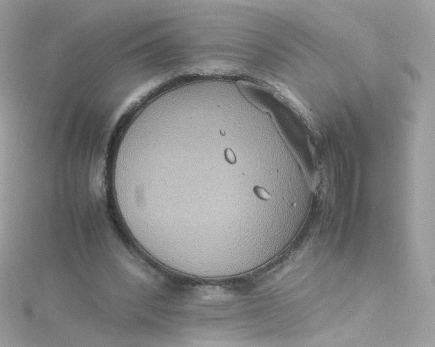 X0000115510392200911271435