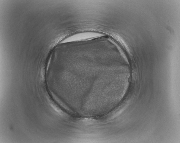 X0000115510393200911271435