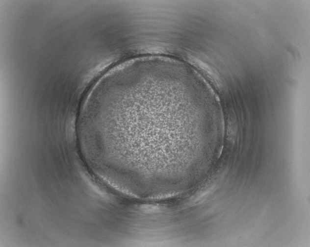 X0000115510394200911271435