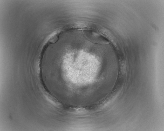 X0000115510395200911271435