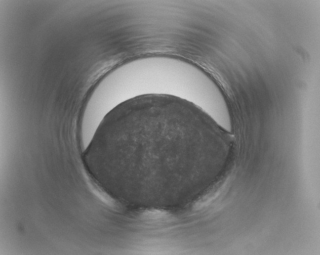 X0000115510397200911271435