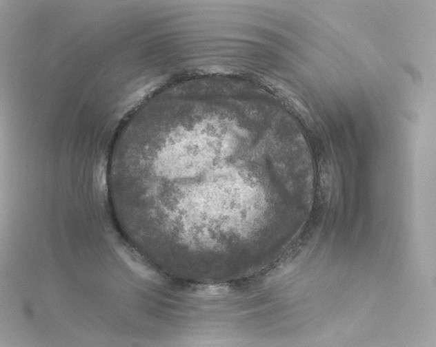 X0000115510398200911271435