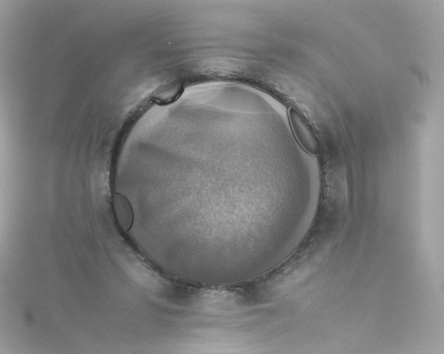 X0000115510399200911271435