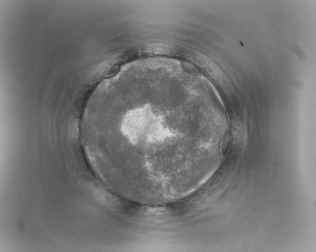 X0000115510401200911271435