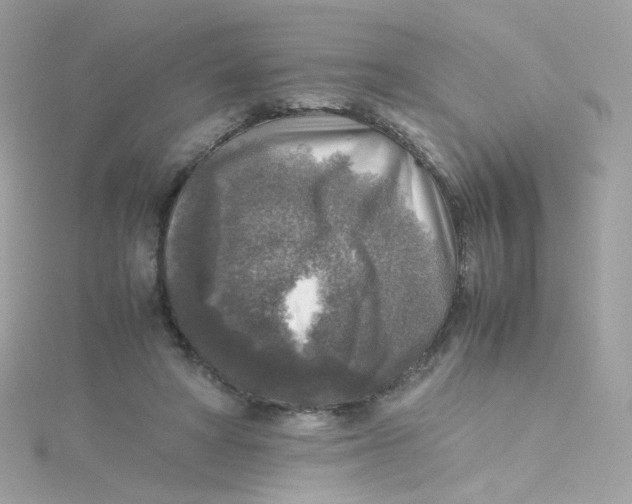 X0000115510402200911271435