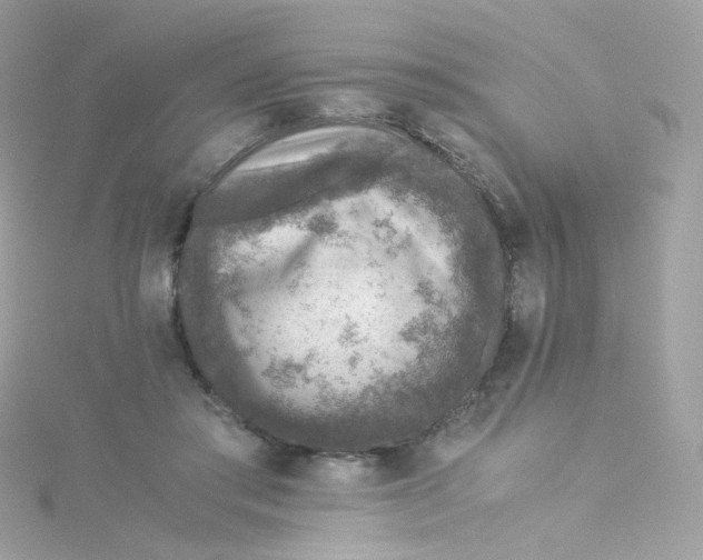 X0000115510405200911271435