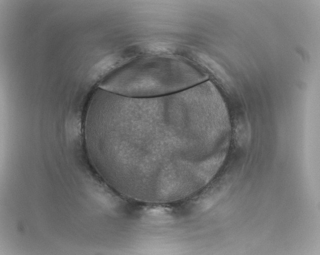 X0000115510407200911271435