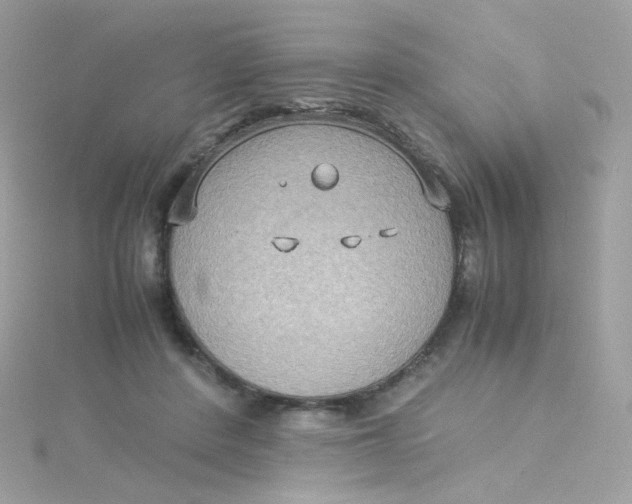 X0000115510408200911271435