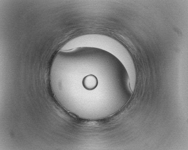 X0000115510409200911271435