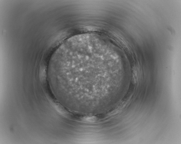 X0000115510410200911271435