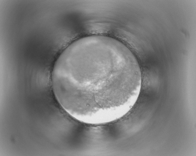 X0000115510411200911271435