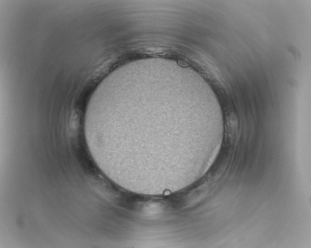 X0000115510412200911271435