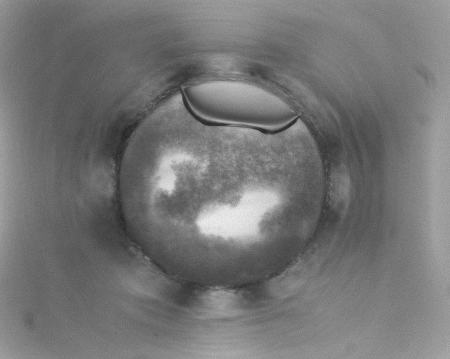 X0000115510413200911271435