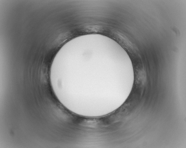 X0000115510414200911271435