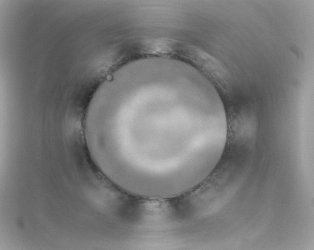 X0000115510415200911271435