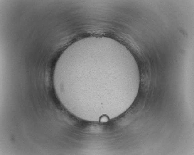 X0000115510416200911271435