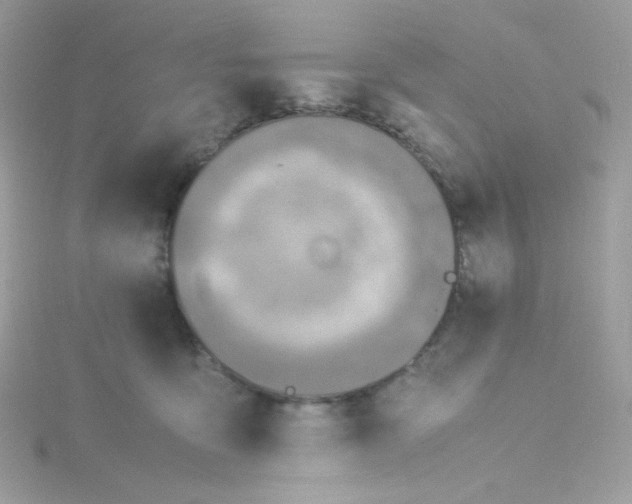 X0000115510419200911271435