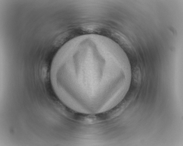 X0000115510420200911271435