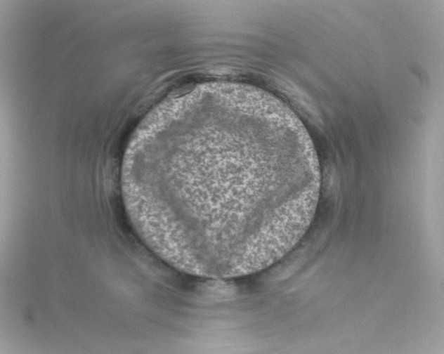 X0000115510421200911271435