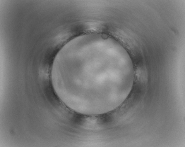 X0000115510423200911271435