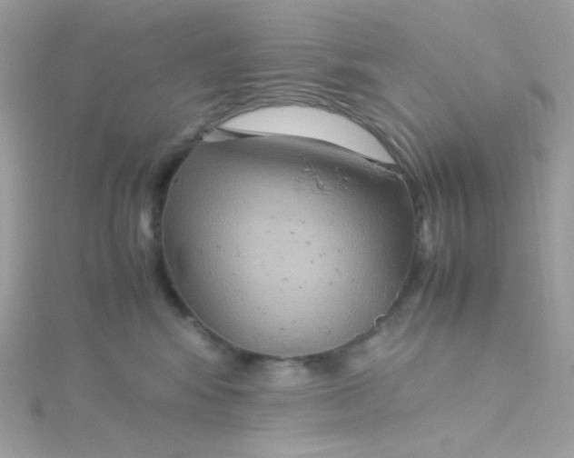 X0000115510424200911271435