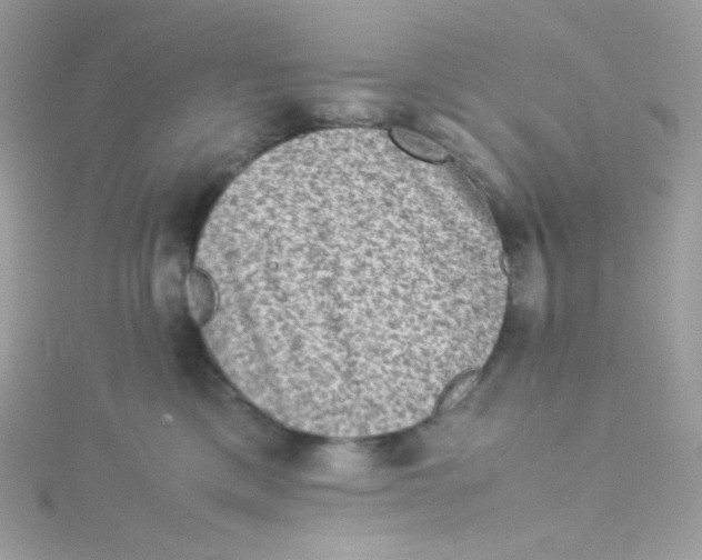 X0000115510425200911271435