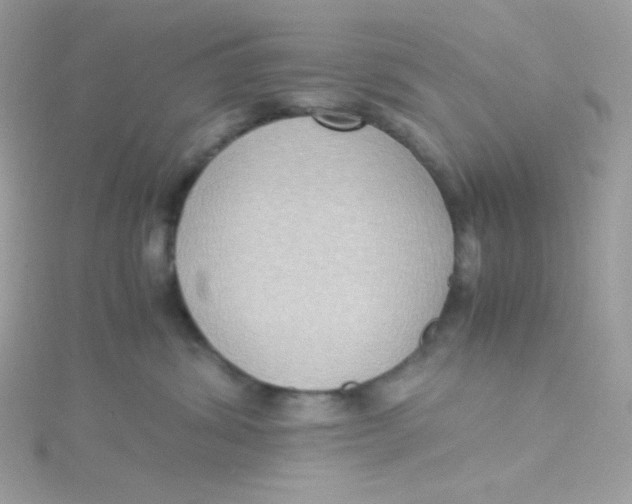 X0000115510428200911271435